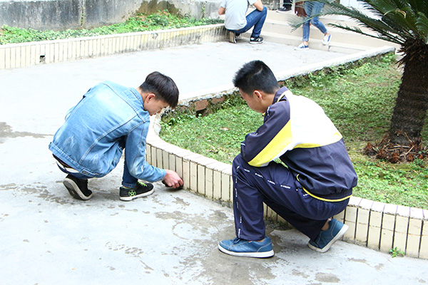 圖一 志愿者們?cè)谇謇黼s草.JPG