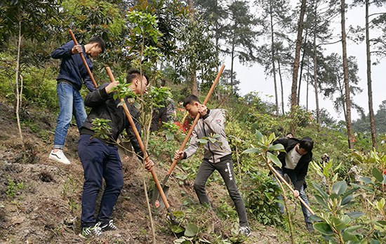 圖一 志愿者們給樹苗除草.jpg
