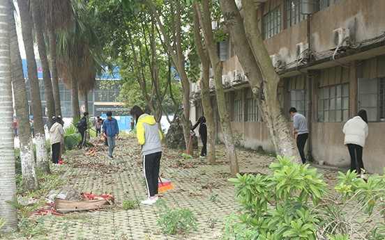 3.同學們正在清掃落葉.JPG