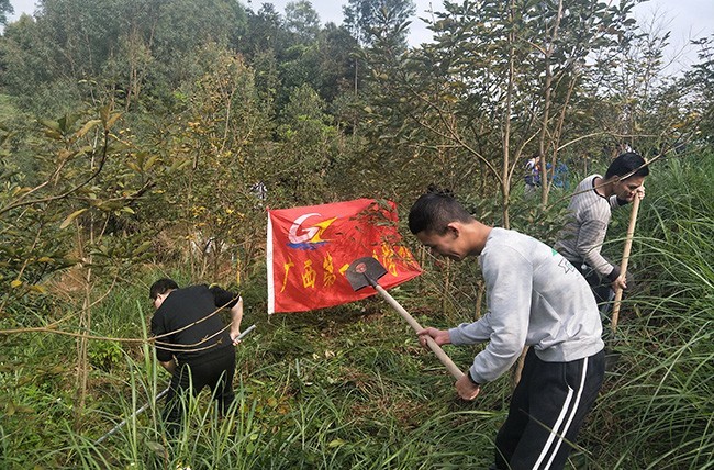 2.植樹(shù)活動(dòng)現(xiàn)場(chǎng).jpg